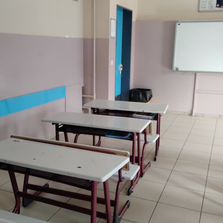 Okulda Güvenlik Hijyen Ve Eğitimde Ciddi Sorunlar Yaşanıyor