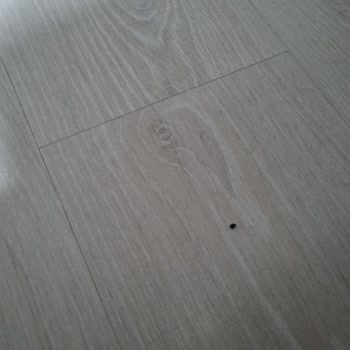 Roborock Q8 Max Süpürge Ve Servis Hayal Kırıklığı