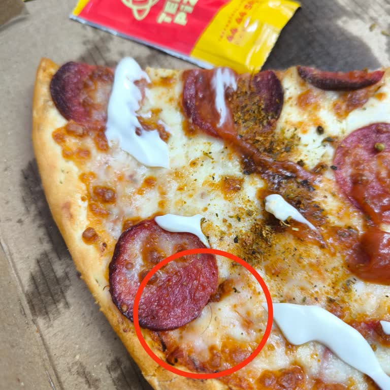 Terra Pizza Siparişimde Kıl Çıktı, Ücret İadesi Yapılmadı