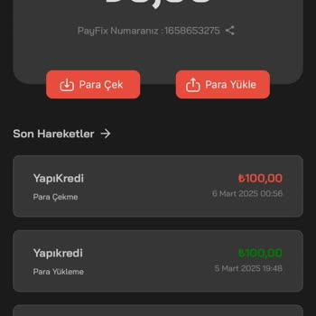 Payfix Hesabıma Aktarılmayan Para Ve İade Sorunu