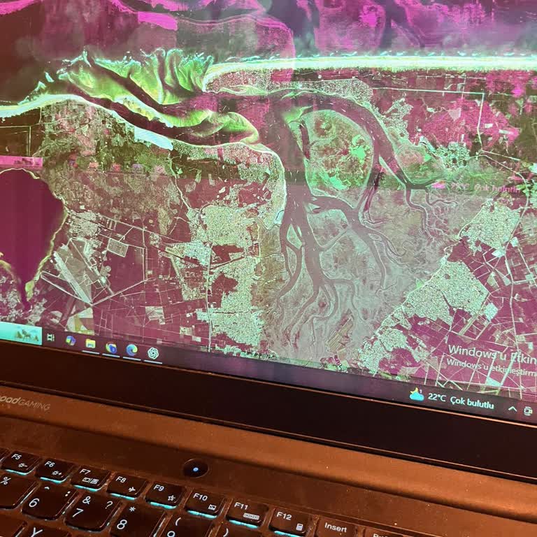 Garanti Sonrası Ekran Dalgalanması Ve Çözüm Bulunamaması