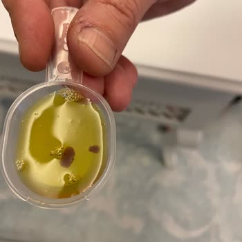 Argivit Focus Şurubunda Parçacıklar Ve Tat Sorunu: Bilgilendirme Talebi