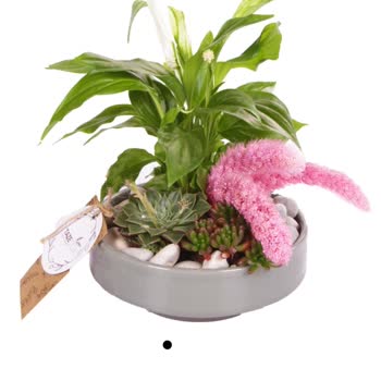 Aldığım Bitkinin Kırık Ve Kullanılamaz Halde Teslim Edilmesi