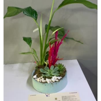 Aldığım Bitkinin Kırık Ve Kullanılamaz Halde Teslim Edilmesi