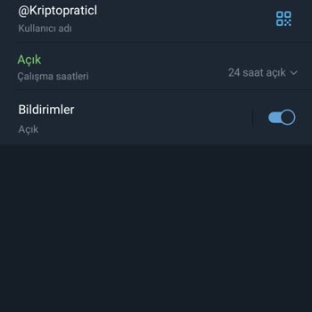 Telegram Üzerinden Ortak Kripto İşleminde Mağduriyet Yaşadım