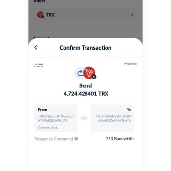 Tronlink Hesabımda Alınan Coin Mağduriyeti Ve Geri Dönüş Sorunu