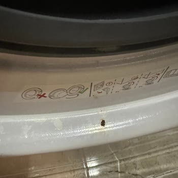 Yedi Aylık Arçelik Çamaşır Makinesi Paslandı Ve Aşırı Gürültülü Çalışıyor