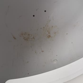 Xenon Smart Akıllı Kedi Tuvaleti: Kısa Sürede Bozulan Pad Ve Yetersiz Destek