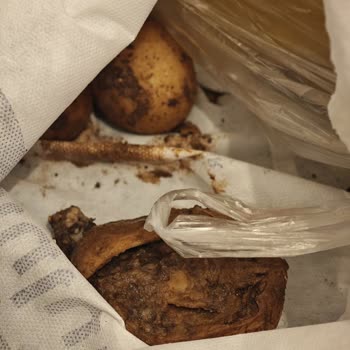 Getir'den Gelen Ürünlerin Kalitesizliği