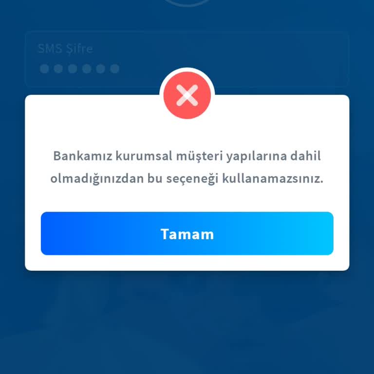 Kurumsal Hesaba Girişte Doğrulama Sorunu: Hesabım Tanınmıyor!