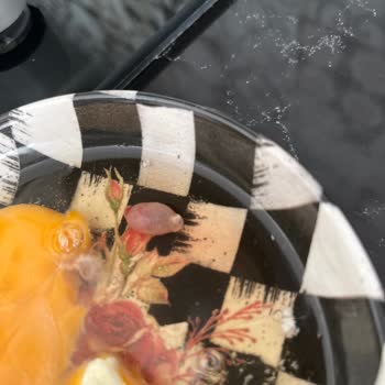 Organik Yumurta Skandalı: Civcivli Yumurta Şoku