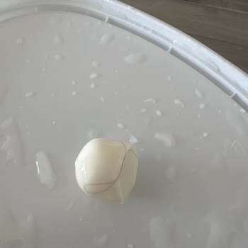 Peynirin İçinden Saç Çıktı Hijyen Konusunda Mağdur Oldum