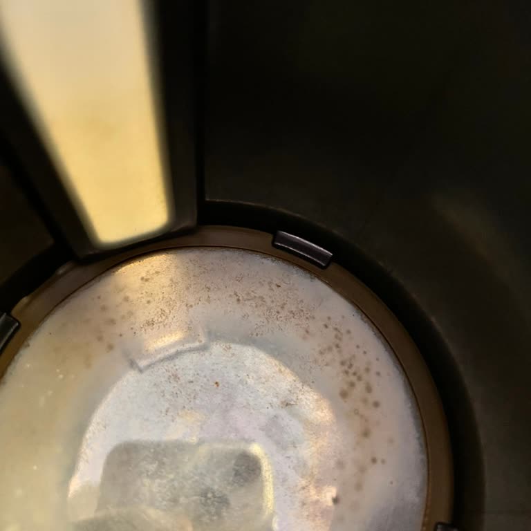 Karaca Hatır Hüps Kahve Makinesinde Küf Ve Kullanım Sorunları