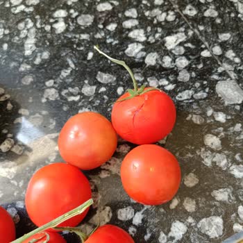 Migros Sanal Marketten Ezilmiş Ve Bozulmuş Meyve-Sebze Teslimatı