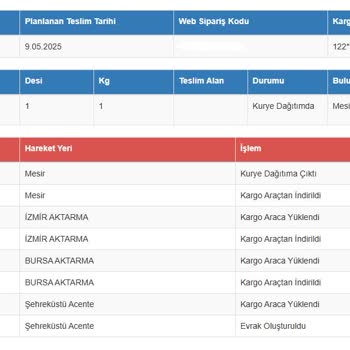 Kargomun Dağıtıma Çıkmadığı Halde Teslim Edilmemesi Ve Şube İlgisizliği