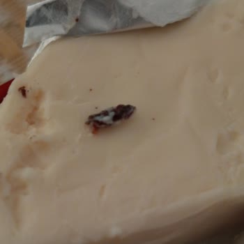 Torku Üçgen Peynirde Yabancı Madde Şoku: Kahvaltı Keyfimiz Bozuldu