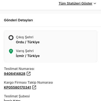 Kargom Teslim Edilmedi, Sorunum Çözülmüyor!