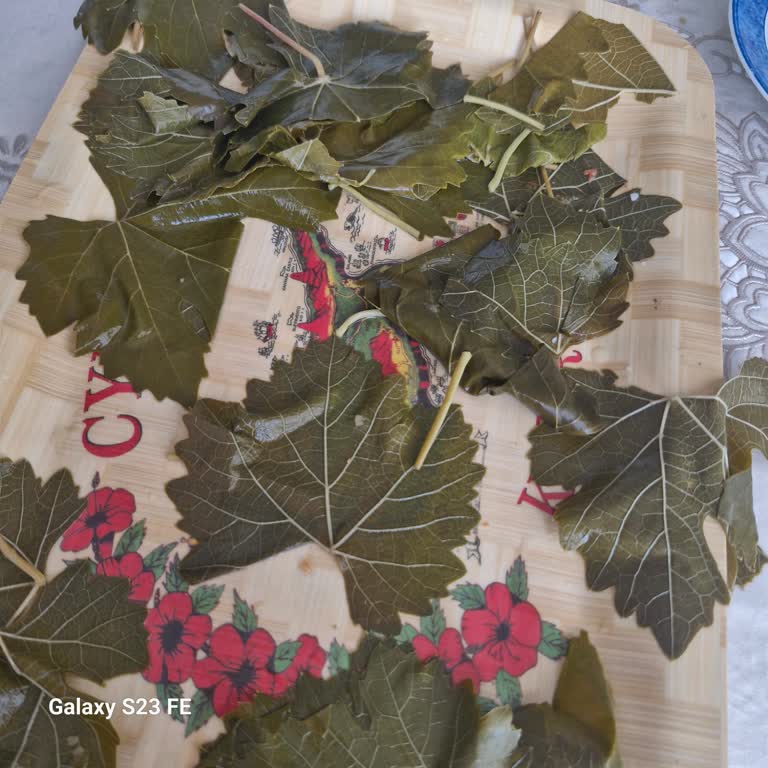 @tokatdan_geliyor Beklentileri Karşılamayan Ürün Ve Yetersiz Destek