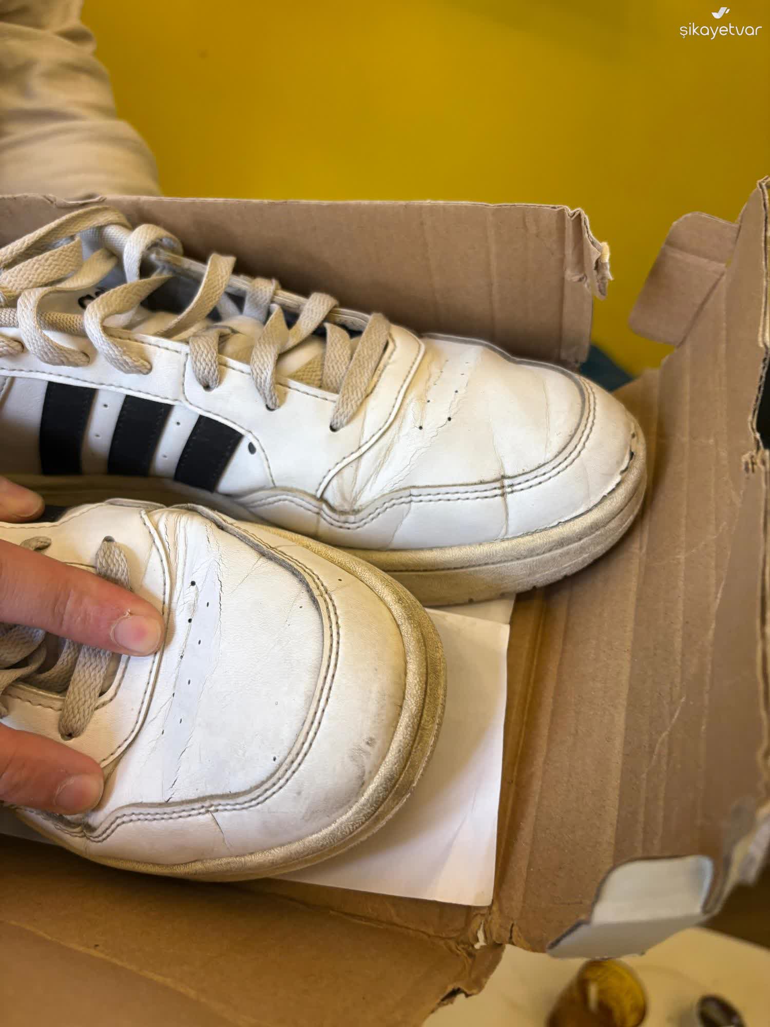 My Adidas Hoops 3.0 Low Shoes Cracked and Split in 5 Months but Warranty  Denied - Xolvie