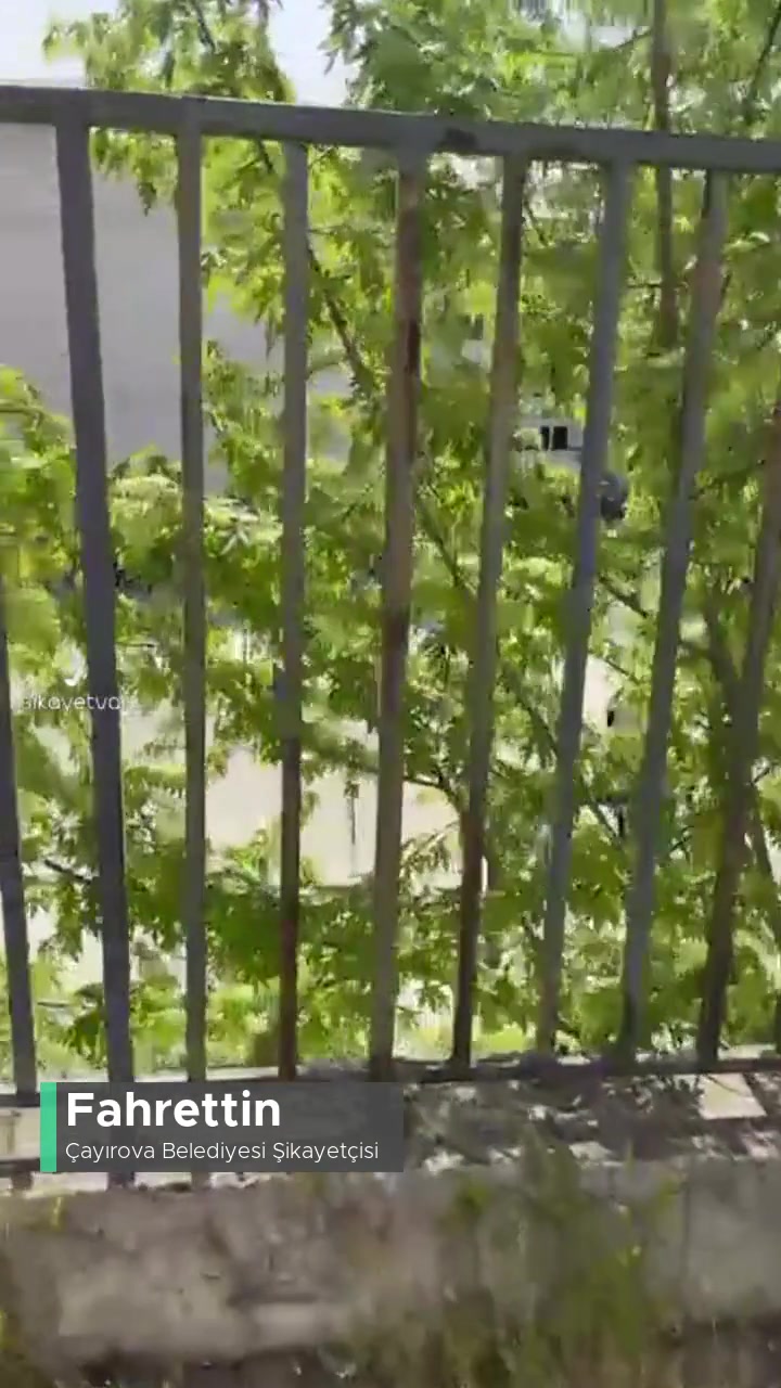 Çayırova İlk Öğretim Okulu'nun Çevreye Verdiği Rahatsızlık videonun kapak resmi