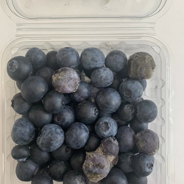 Küflü Ürün Ve İade Sorunu: Migros Sanal Market'te Hayal Kırıklığı