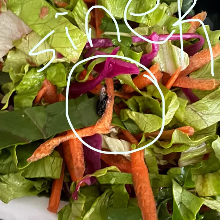 Salatadan Sinek Çıktı, İade Ve Çözüm Sunulmadı