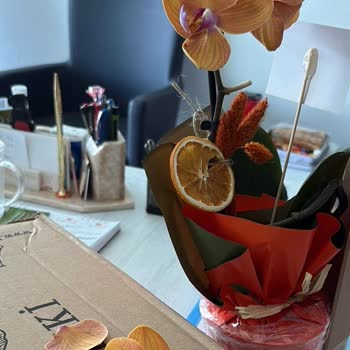 Anneler Günü İçin Aldığım Orkideler Kötü Durumda Teslim Edildi