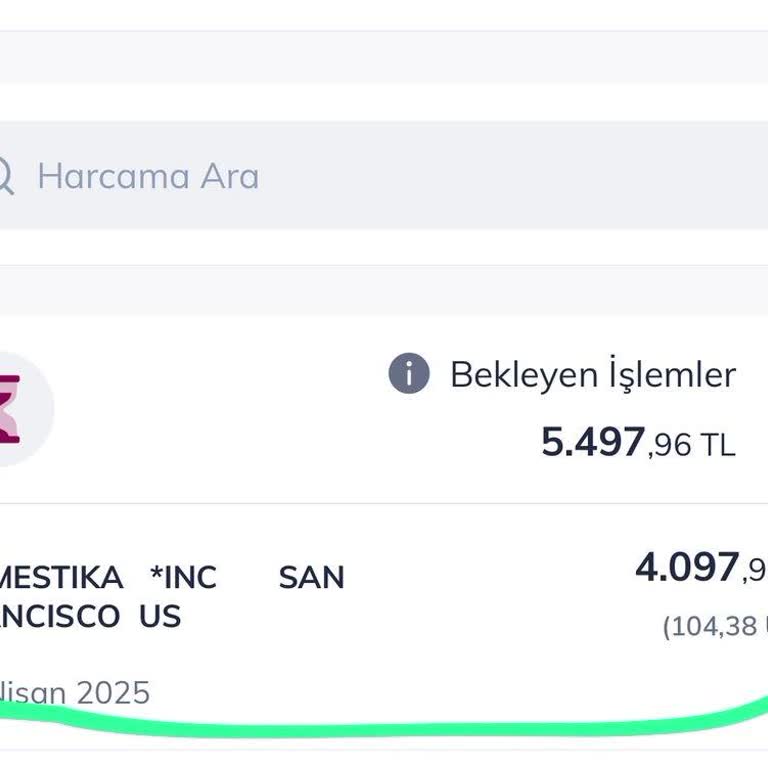 Domestika Plus unerwünscht abgebucht, 4.000₺ statt 29₺ für Kurs und Abo