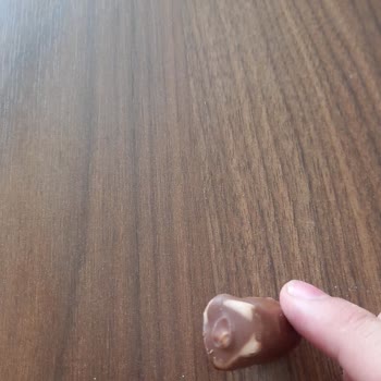 Bozuk Tadelle Çikolata Deneyimi Ve Destek Talebi