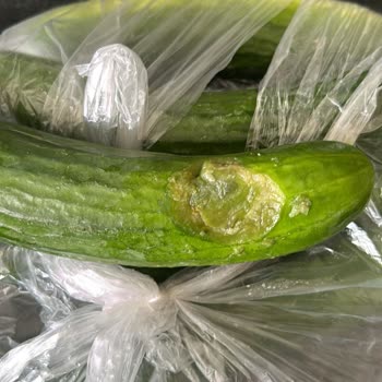 Onur Market'ten Bozuk Ürün Ve İlgisizlik Şikayeti