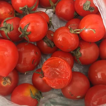 Onur Market'ten Bozuk Ürün Ve İlgisizlik Şikayeti