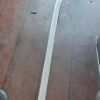 Otobüste Temizlik, Hizmet Ve Yolcu Rahatlığı Konusunda Memnuniyetsizlik