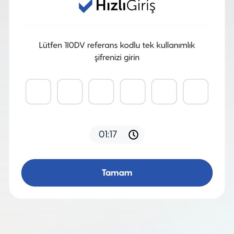 Tek Kullanımlık Şifre Gelmiyor, Bilgilere Erişemiyorum