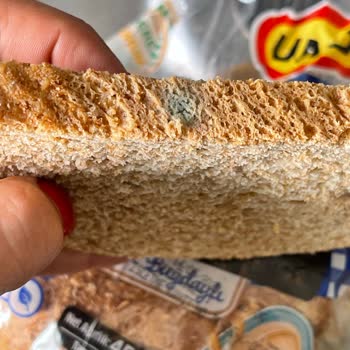 Son Tüketim Tarihi Geçmemiş UNO Marc’a Ekmekte Küf Sorunu
