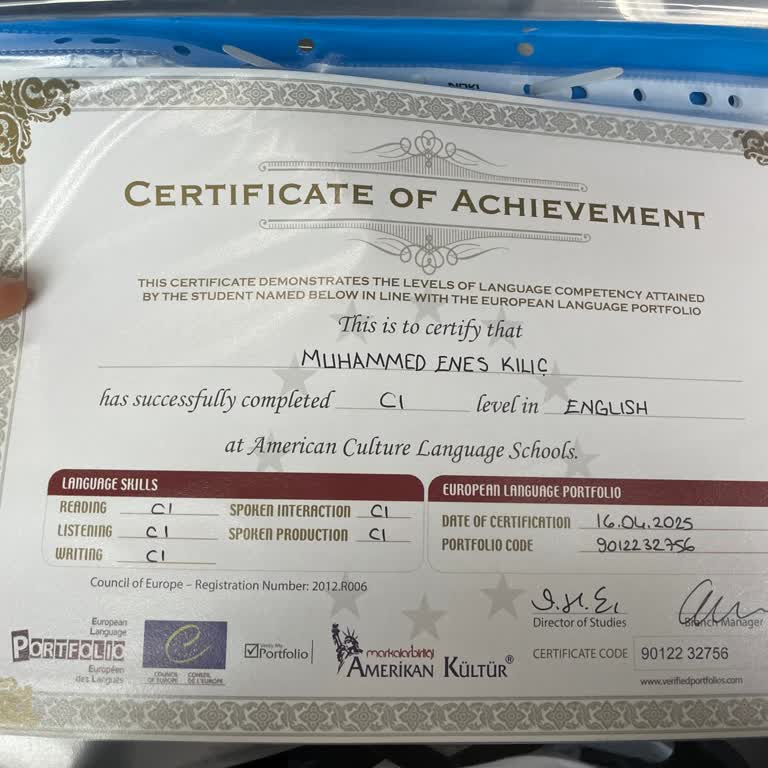 Mezun Olduğum Halde Sertifikam Sistemde Görünmüyor, Acil Çözüm Bekliyorum