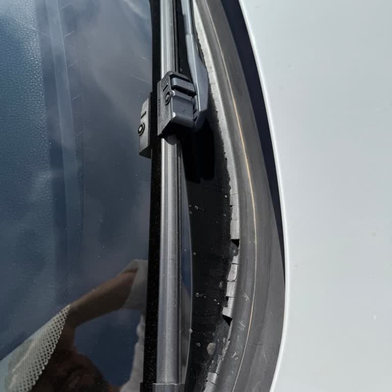 BMW F10 Ön Cam Plastik Ve Fitilinde Kronik Çürüme Sorunu Yaşadım