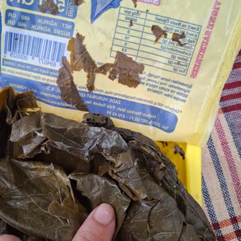 Asma Yaprağından Böcek Çıkması Ve Sağlık Endişesi