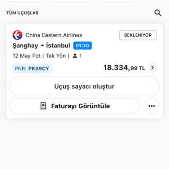 Bilet Değişikliğinde Yüksek Ceza Ve Yetersiz Destek