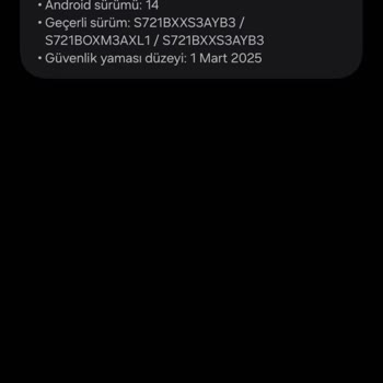 S24 FE Kullanıcıları Olarak Güncellemeyi Beklerken Mağdur Ediliyoruz