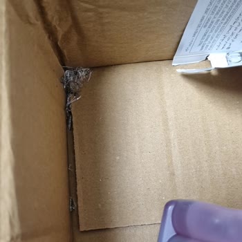 Kargom Ezilmiş Ve Ürünüm Kırılmış Olarak Teslim Edildi
