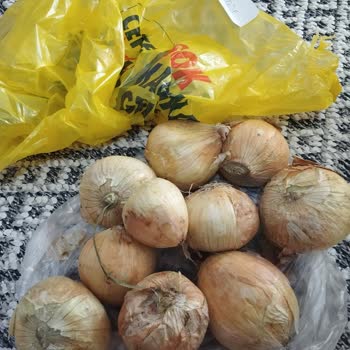 Cepte Şok Alışverişinde Çözülmeyen Sipariş Sorunları Ve Yetersiz Müşteri Hizmetleri