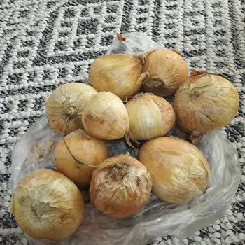 Cepte Şok Alışverişinde Çözülmeyen Sipariş Sorunları Ve Yetersiz Müşteri Hizmetleri