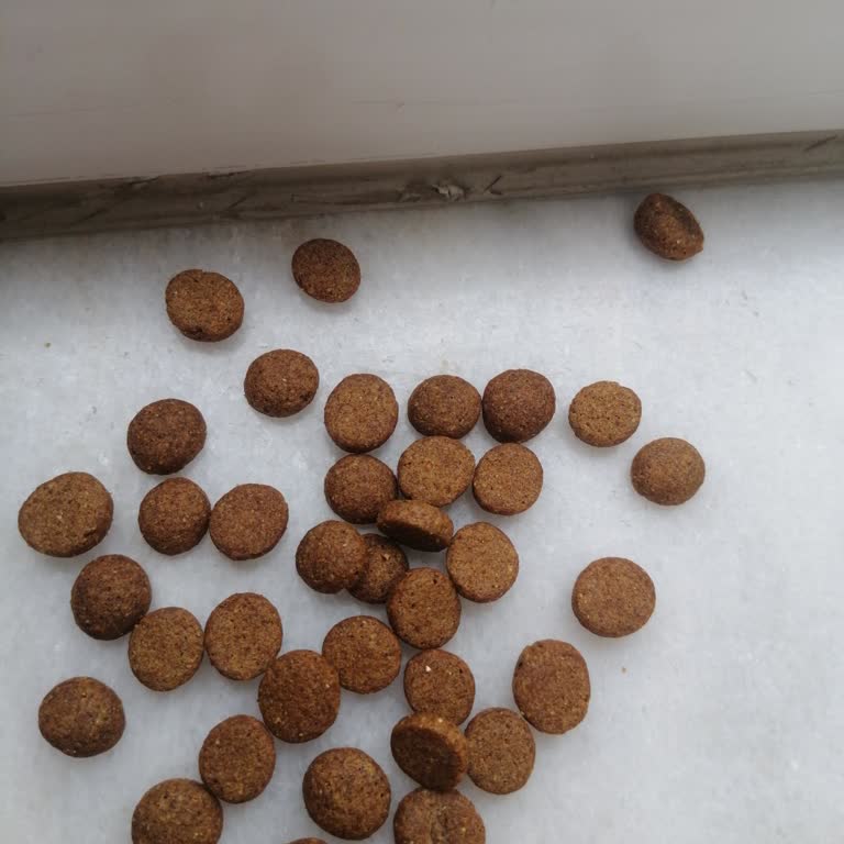 Aldığım Mama Kedime Zarar Verdi, Acil Dönüş Bekliyorum