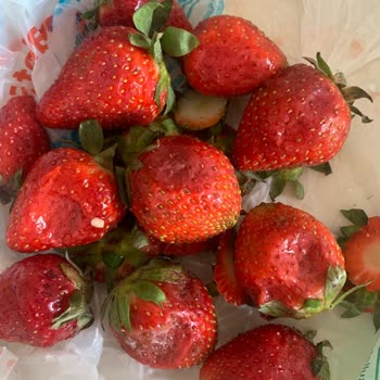 Yeni Paketlenen Çileklerin Altı Tamamen Çürük Çıktı