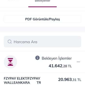Fzypay A101 Termos Alımında Hatalı İşlem: Onaylamadığım Yüksek Tutar Çekildi