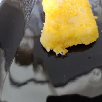 Lezita Nugget İçinde Yabancı Maddeyle Karşılaştım, Sağlığım Tehlikeye Girdi