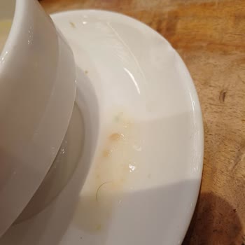 Hijyen Sorunu Ve İlgisiz Yönetim Nedeniyle Memnuniyetsizlik