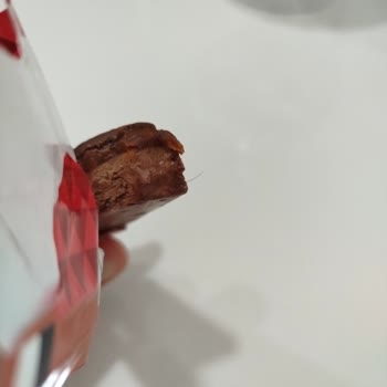 Şok Marketler Karmen Çikolata Şikayeti