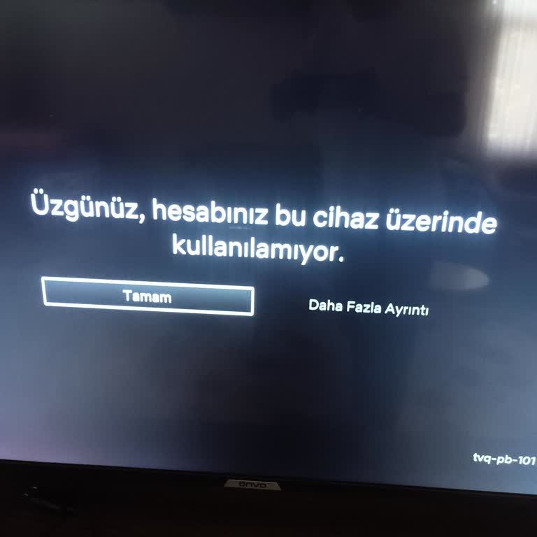 Onvo TV'de Netflix Erişim Sorunu Ve Tvq-pb-101(e104) Hatası