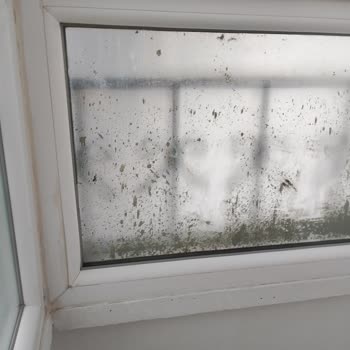 Yetersiz Temizlik Hizmeti Ve Hakkaniyetsiz Ücretlendirme Mağduriyeti